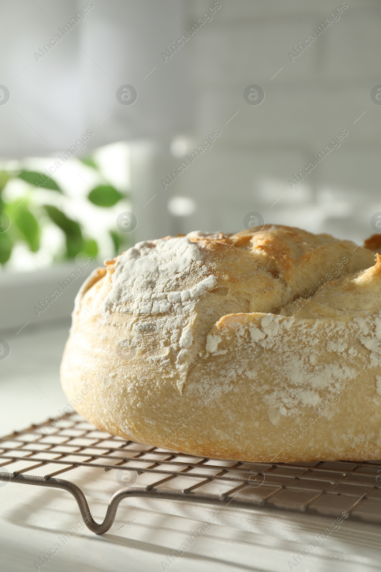 Photo of Freshly baked sourdough bread on white wooden table indoors