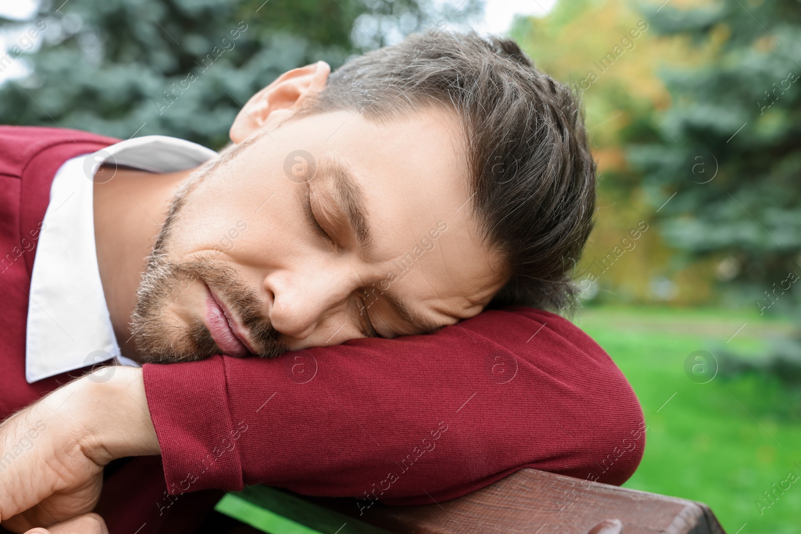 Photo of Tired man sleeping on bench in beautiful green park, closeup