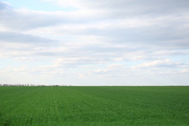 Photo of Picturesque view of green agricultural field on cloudy day