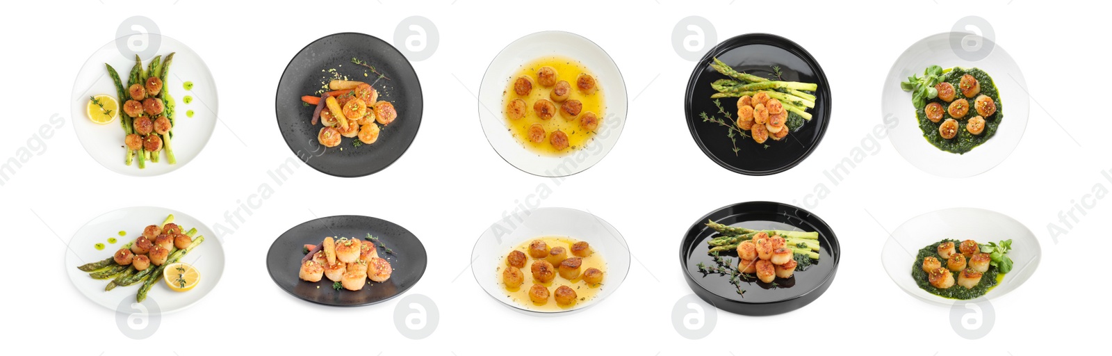 Image of Set of different dishes with scallops isolated on white, top and side views