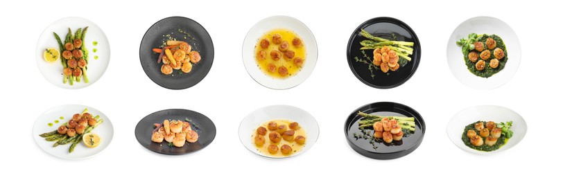 Image of Set of different dishes with scallops isolated on white, top and side views