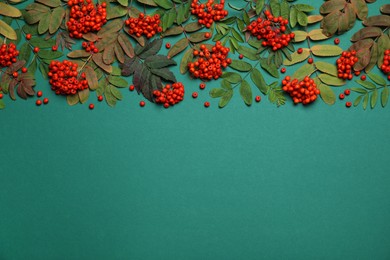 Photo of Fresh ripe rowan berries and leaves on green background, flat lay. Space for text