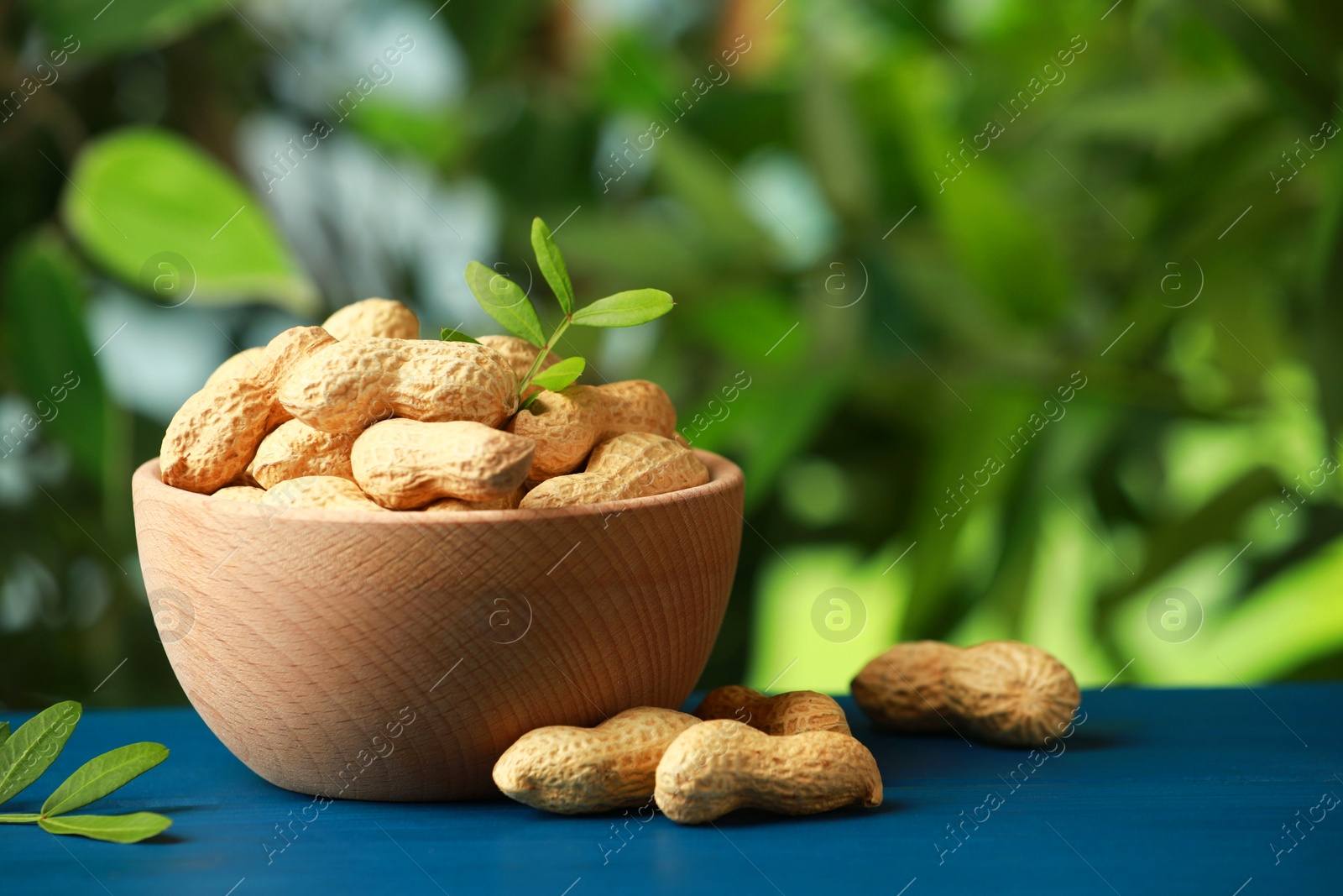 Photo of Fresh unpeeled peanuts in bowl and twigs on blue wooden table against blurred background