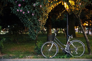 Bicycle with basket parked near beautiful tree in evening