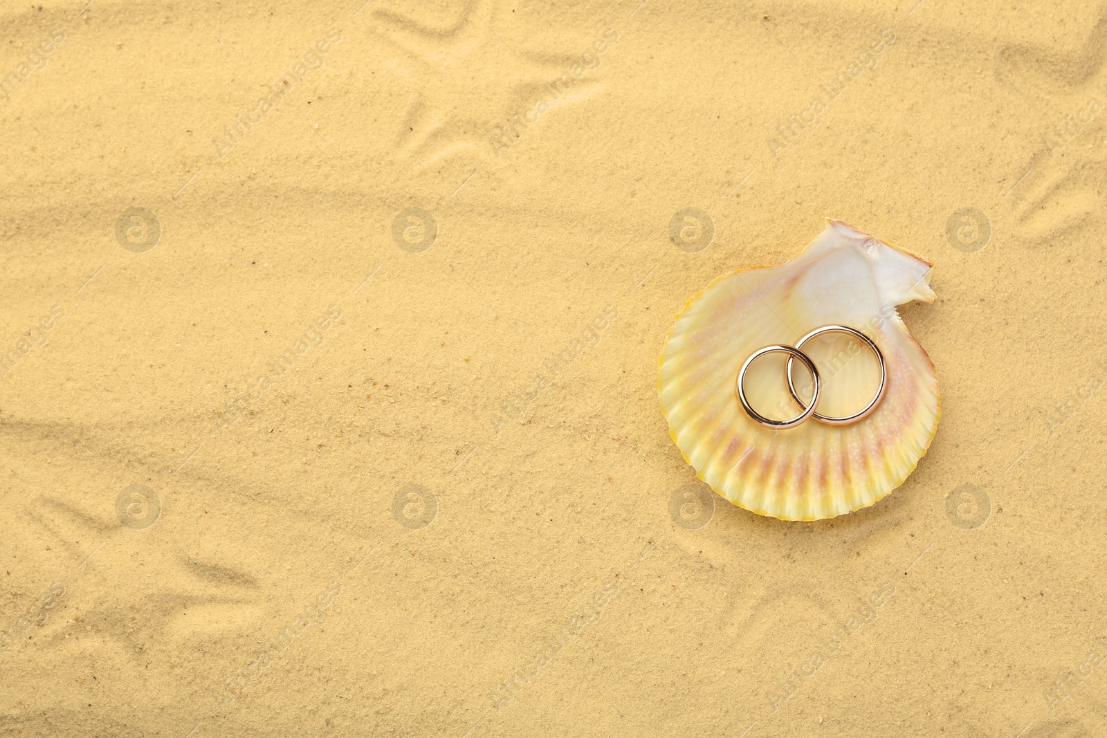 Photo of Honeymoon concept. Two golden rings with shell on sand, top view. Space for text