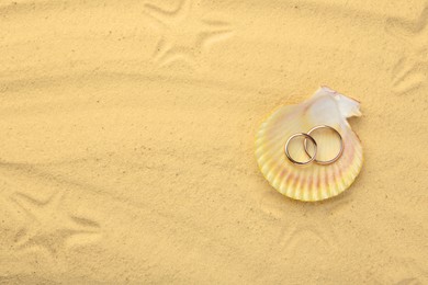 Honeymoon concept. Two golden rings with shell on sand, top view. Space for text