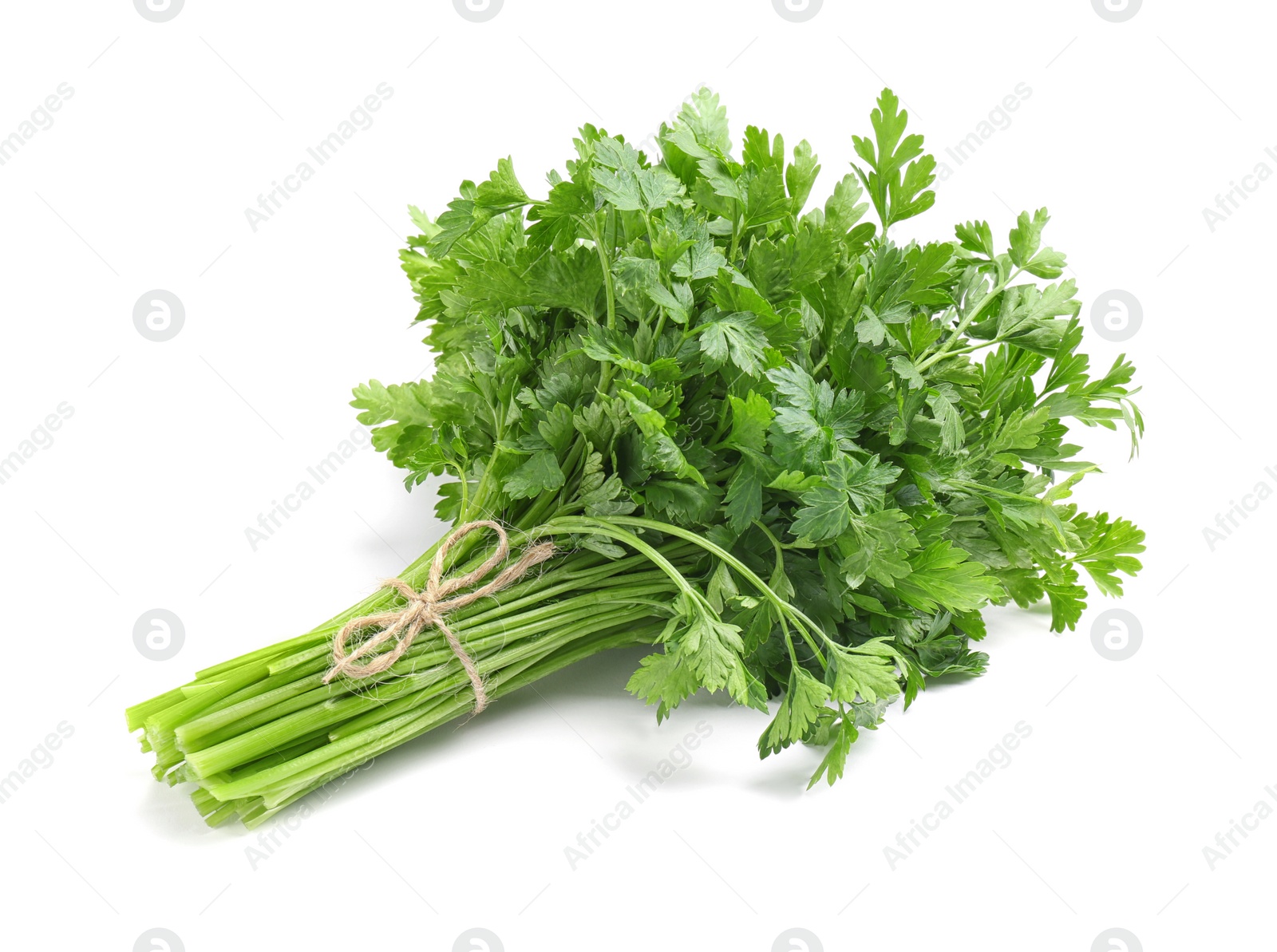 Photo of Bunch of fresh parsley isolated on white