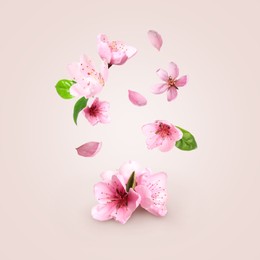 Image of Beautiful pink sakura tree flowers flying on light background