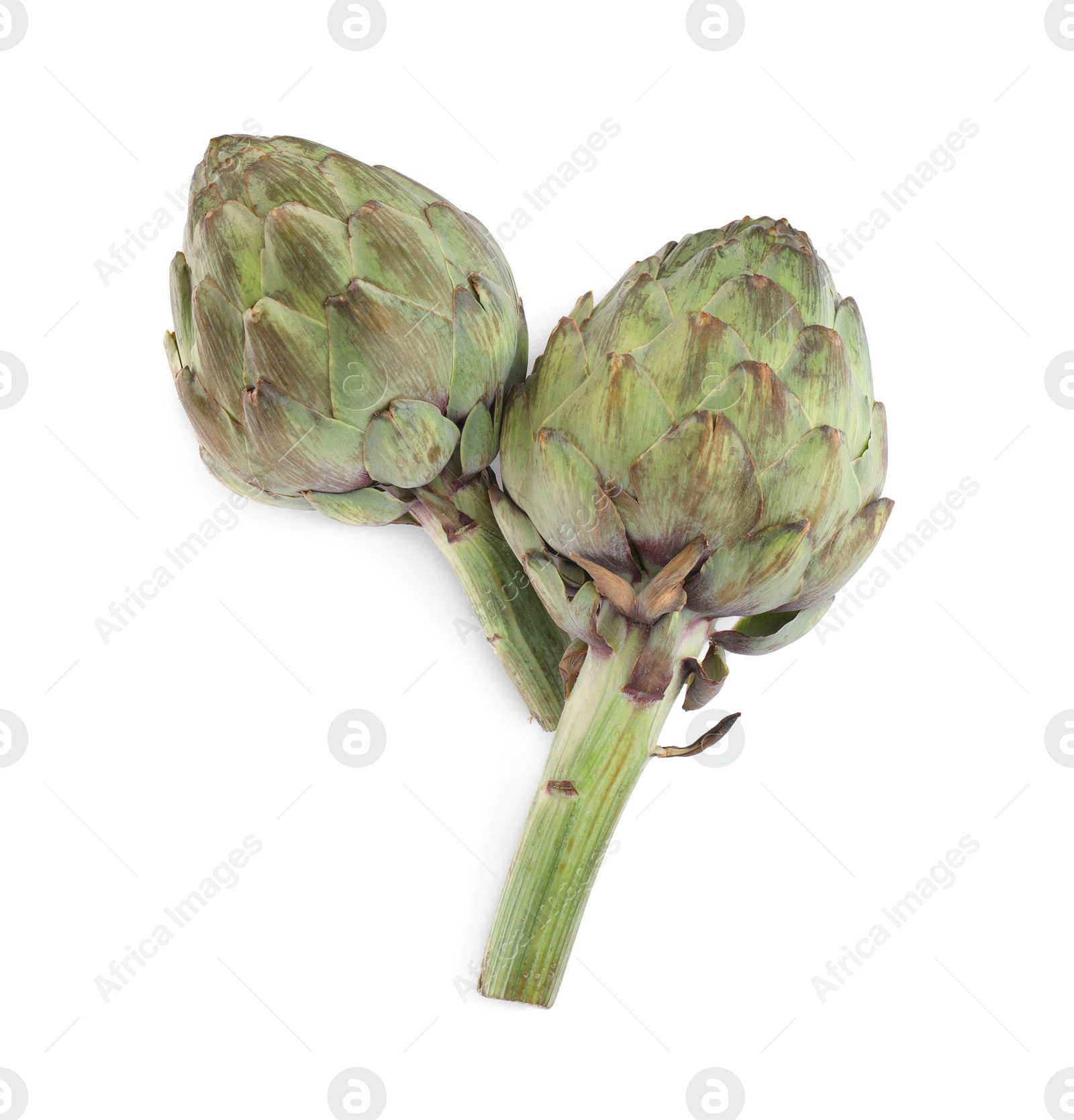 Photo of Whole fresh raw artichokes on white background, top view