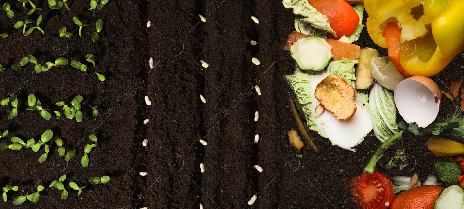 Image of Organic waste for composting and white beans on soil, flat lay. Natural fertilizer
