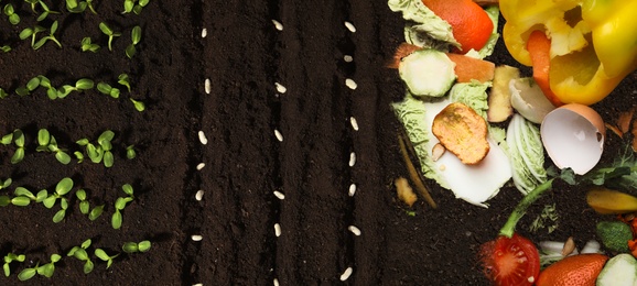 Image of Organic waste for composting and white beans on soil, flat lay. Natural fertilizer