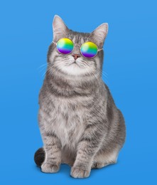 Image of Funny cat in stylish sunglasses with rainbow lenses on blue background