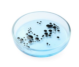Photo of Petri dish with bacteria on white background