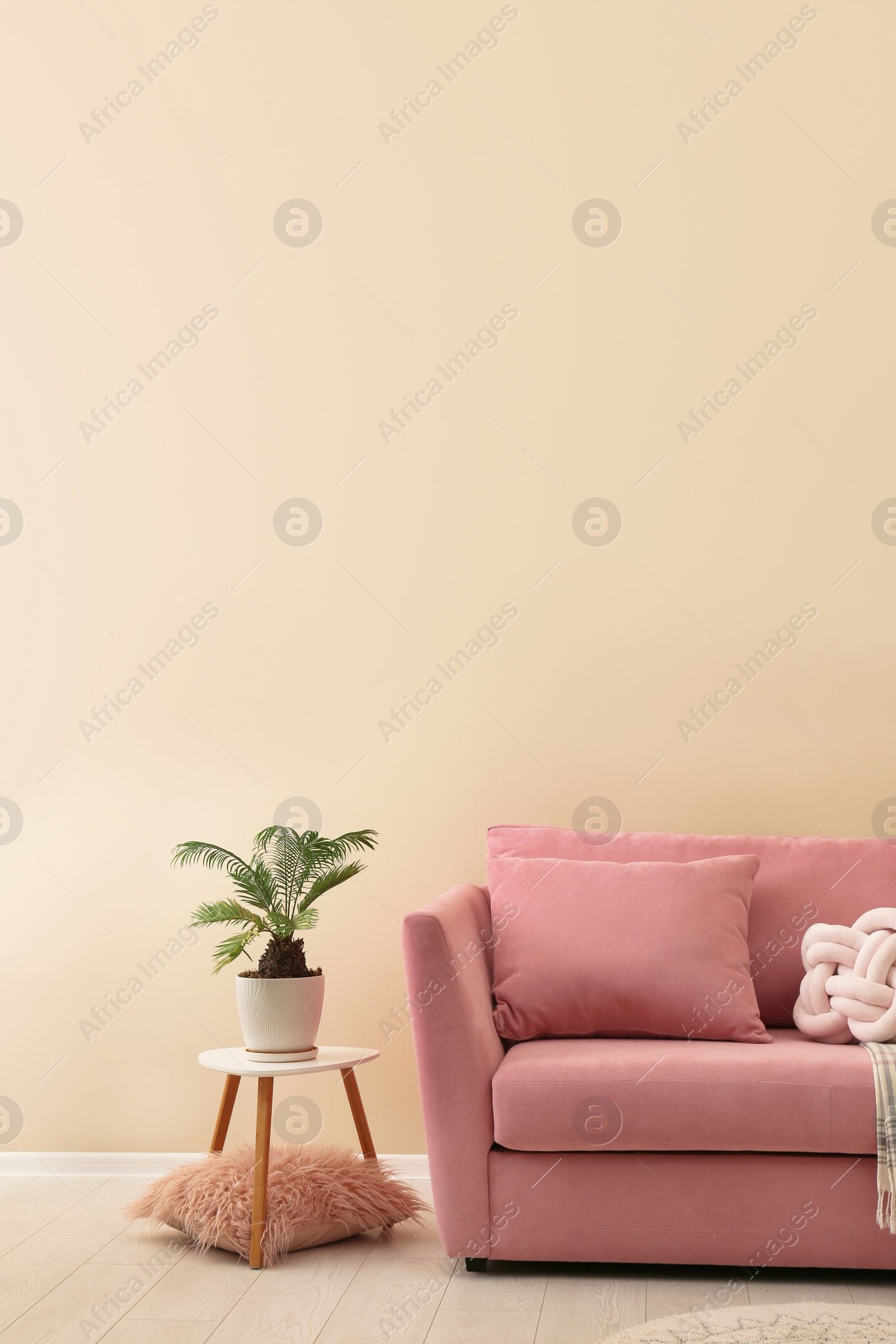 Photo of Simple living room interior with modern sofa near color wall. Space for text