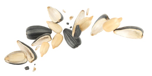 Image of Sunflower seeds with hull flying on white background. Banner design