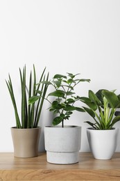 Many different houseplants in pots on wooden table near white wall, space for text