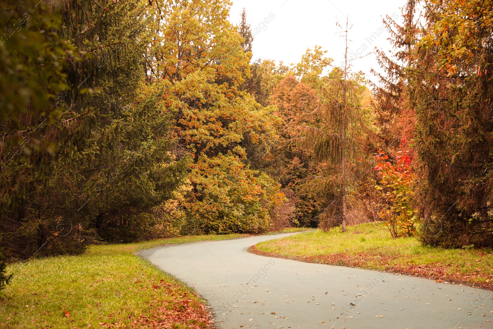 Photo of Beautiful view of park with trees on autumn day