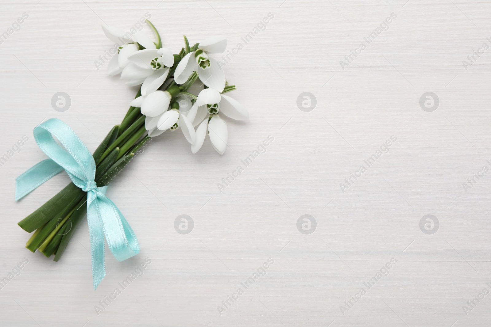 Photo of Beautiful snowdrop flowers with ribbon on white wooden table, top view. Space for text