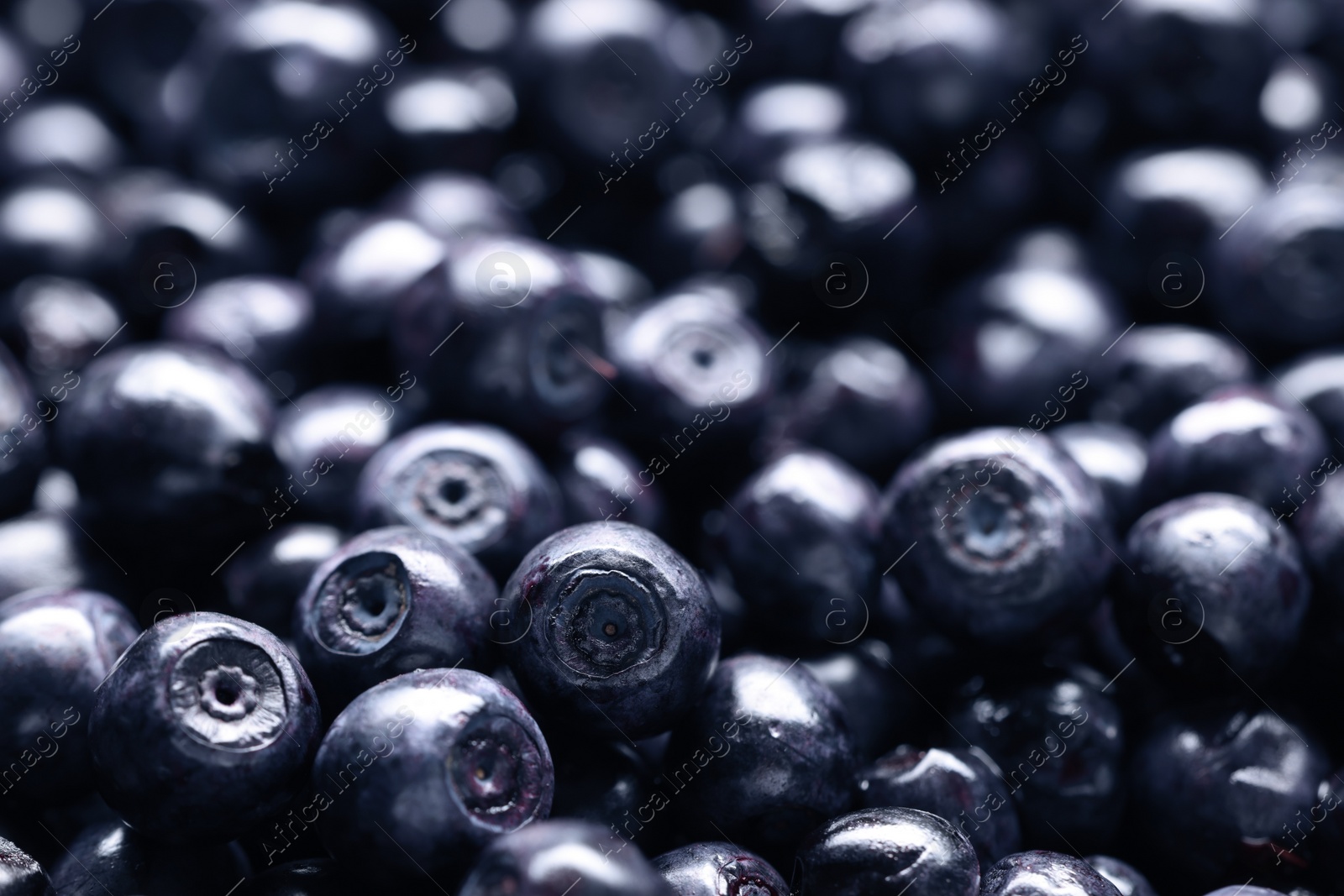 Photo of Many tasty fresh bilberries as background, closeup view