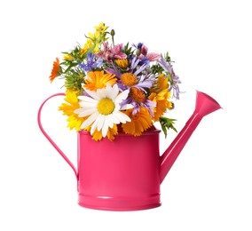 Photo of Pink watering can with beautiful flowers isolated on white