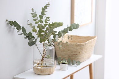 Vase with fresh eucalyptus branches on table in room. Interior design