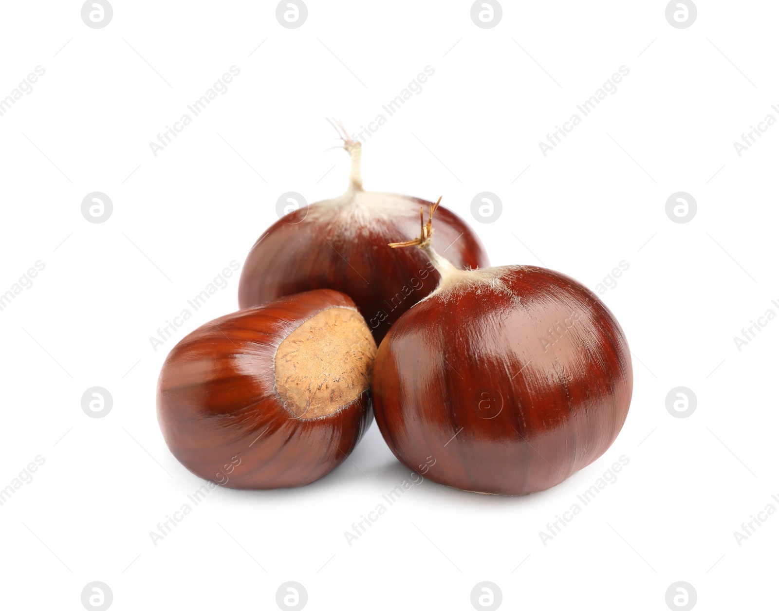 Photo of Fresh sweet edible chestnuts on white background