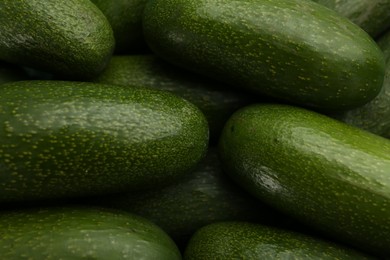 Photo of Fresh whole seedless avocados as background, closeup