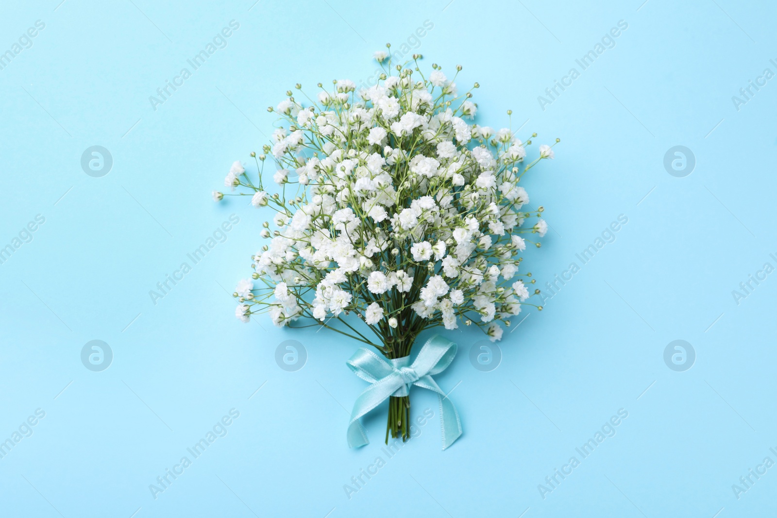 Photo of Beautiful gypsophila flowers tied with ribbon on light blue background, top view