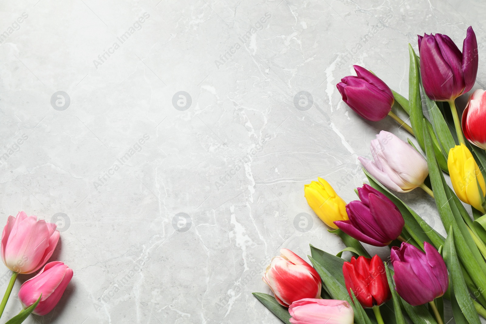 Photo of Beautiful spring tulips on grey marble table, flat lay. Space for text