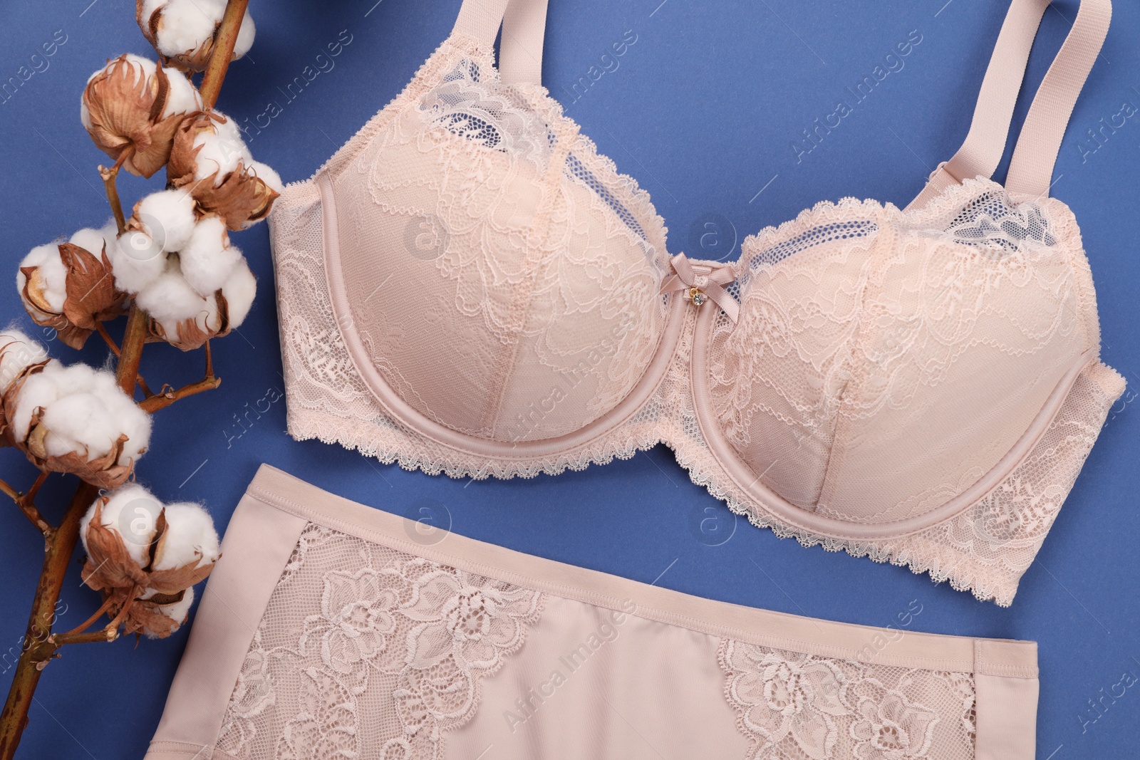 Photo of Elegant beige plus size women's underwear and cotton branch with fluffy flowers on blue background, flat lay