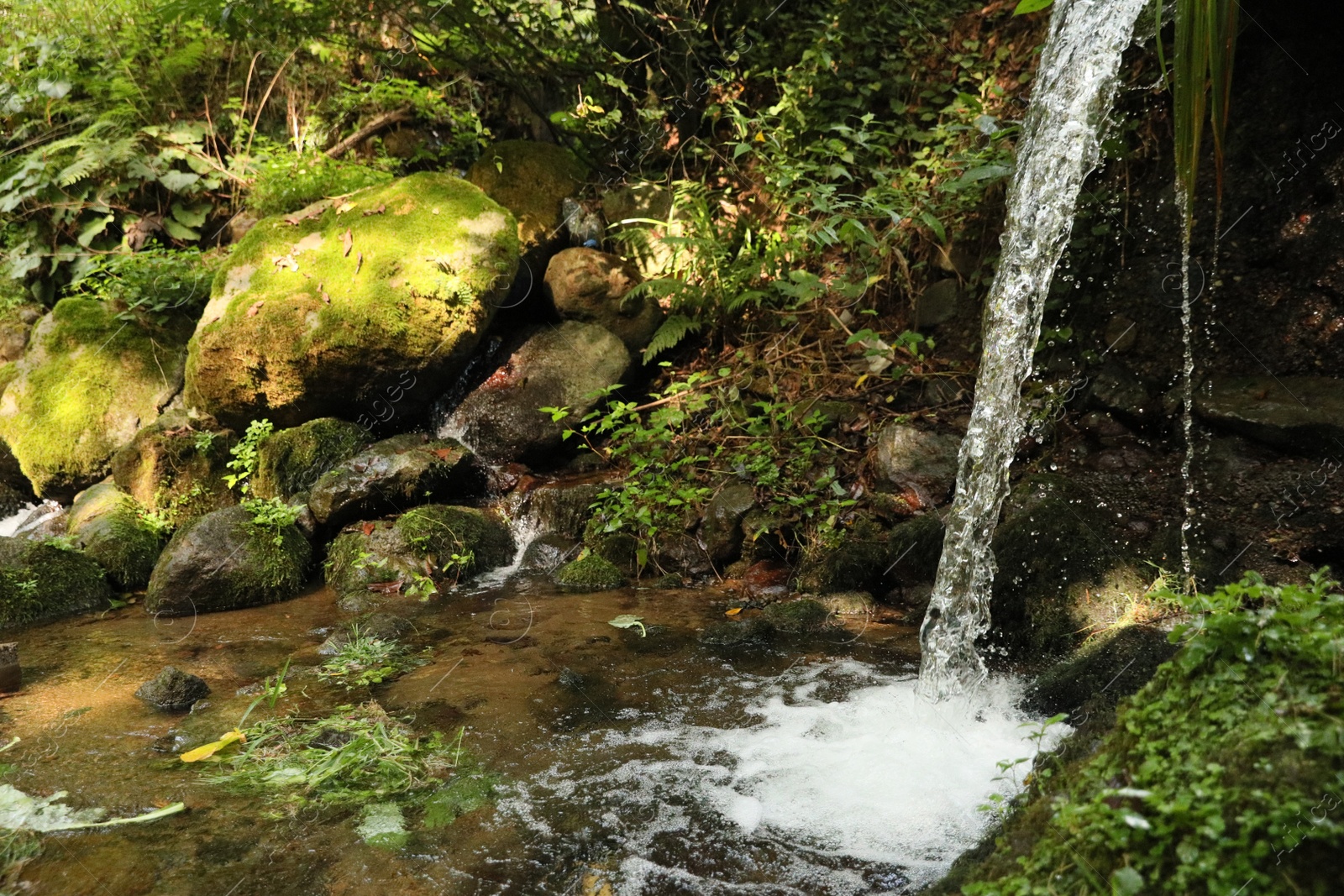 Photo of Picturesque view of mountain waterfall, stones and green plants