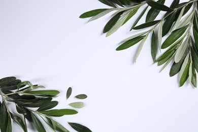Olive twigs with fresh green leaves on white background, flat lay. Space for text