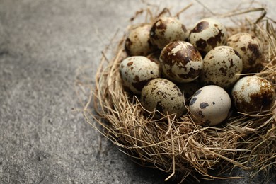 Photo of Nest with many speckled quail eggs on dark grey table. Space for text