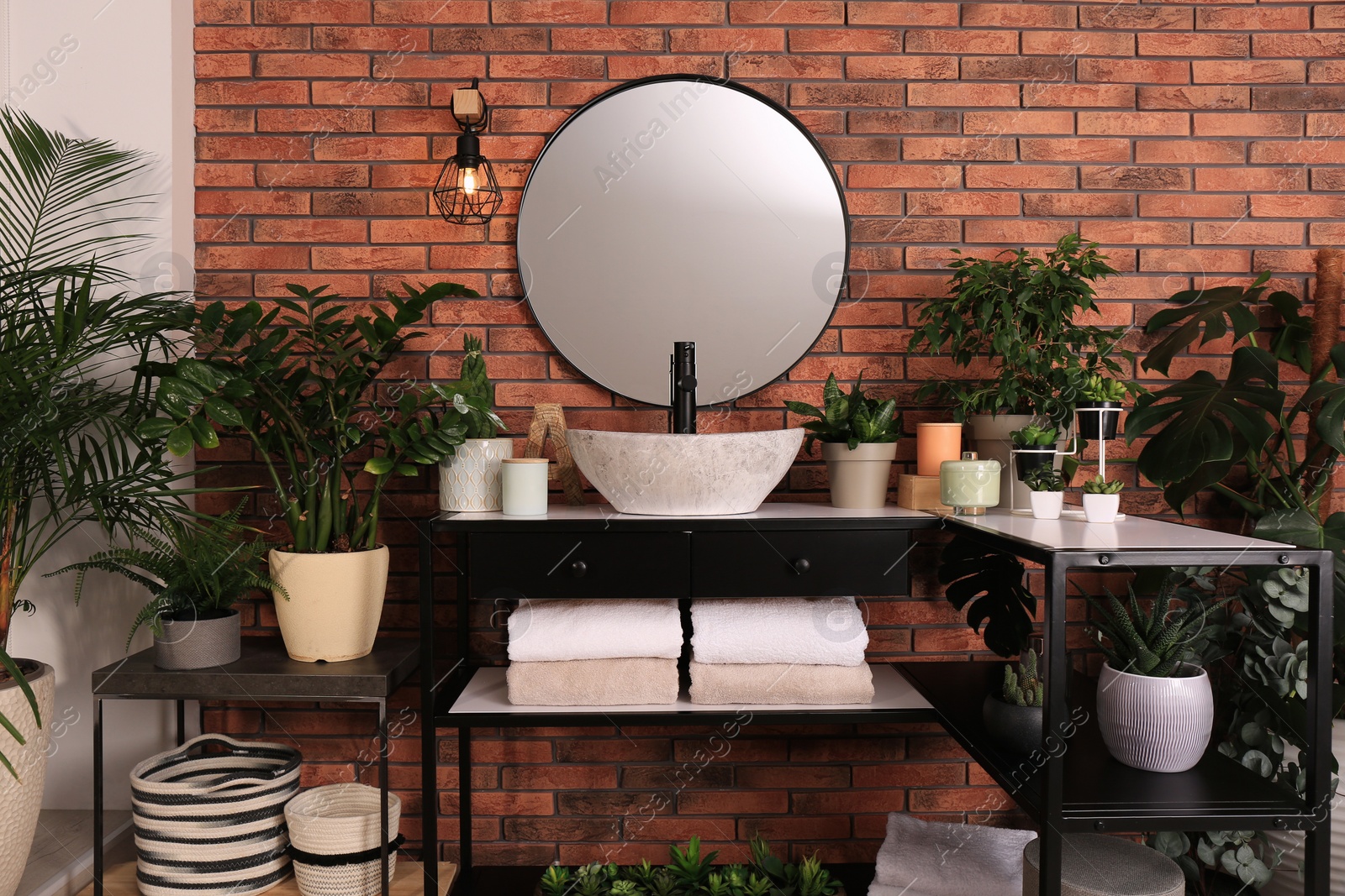 Photo of Stylish bathroom interior with modern sink, furniture and beautiful green houseplants