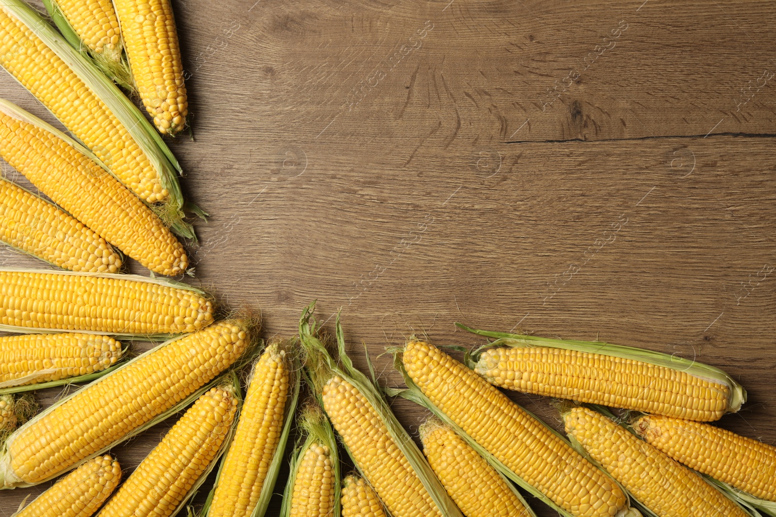 Photo of Tasty sweet corn cobs on wooden table, flat lay. Space for text