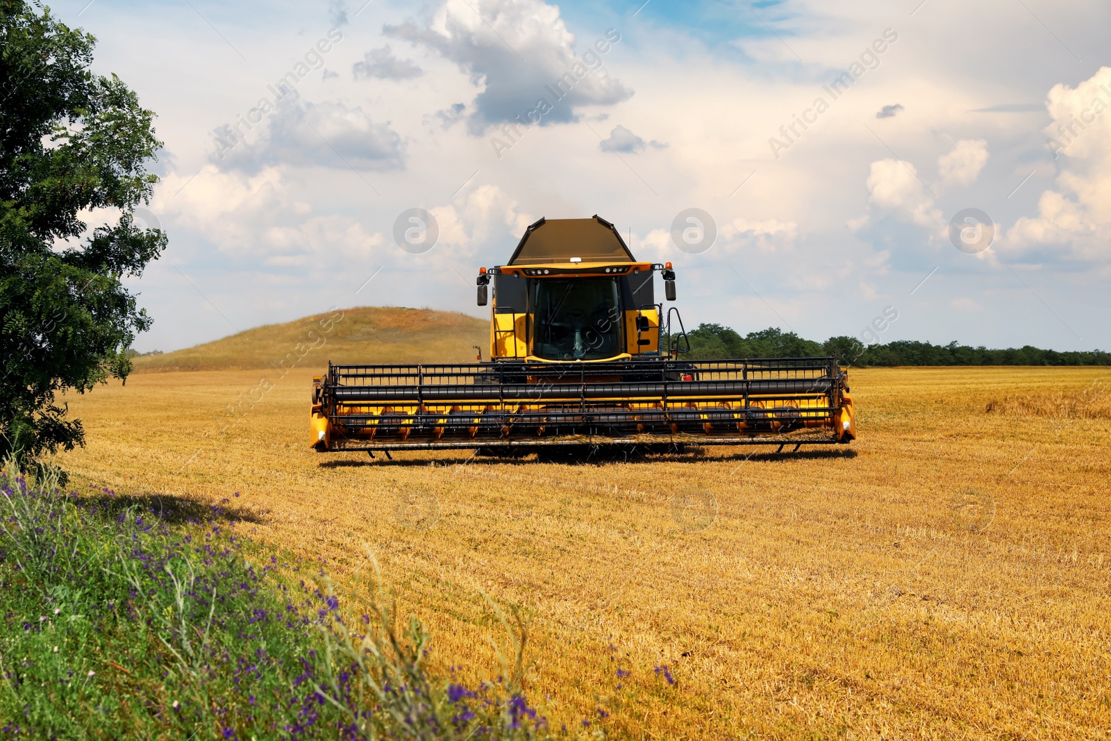 Photo of Modern combine harvester in field on sunny day. Agricultural machinery