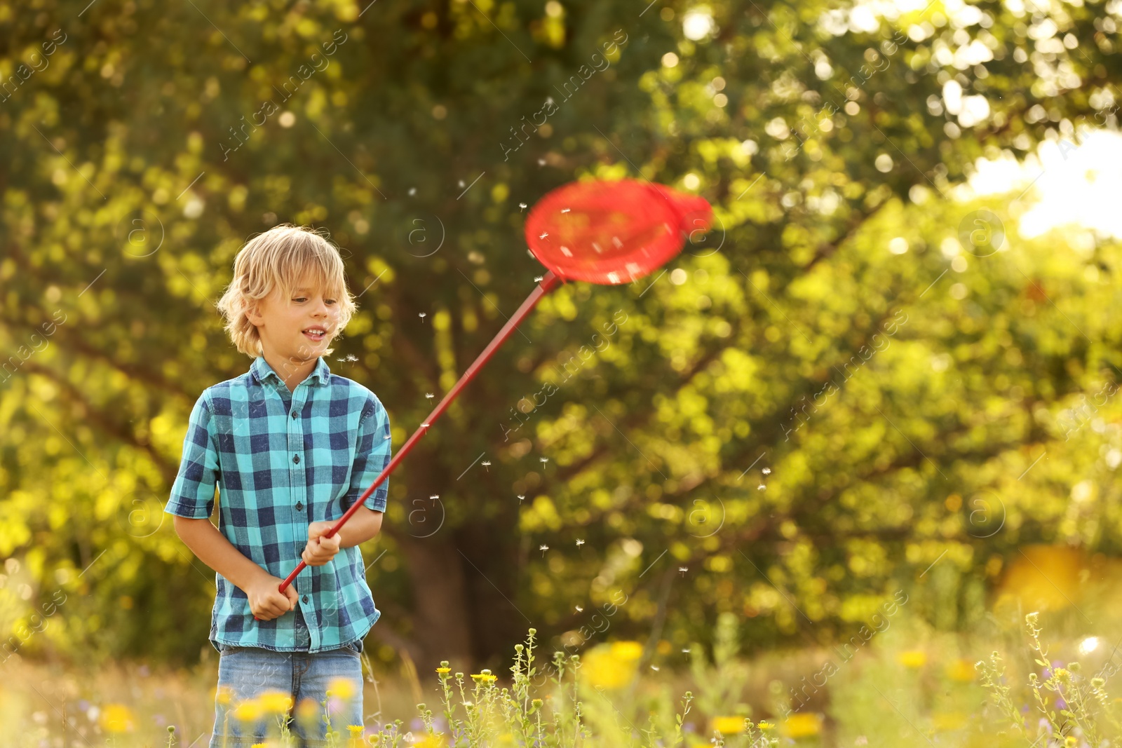 Photo of Cute little boy with butterfly net outdoors. Child spending time in nature