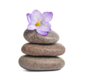 Photo of Spa stones and freesia flower isolated on white