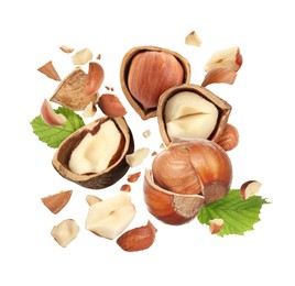 Image of Pieces of tasty hazelnuts falling on white background