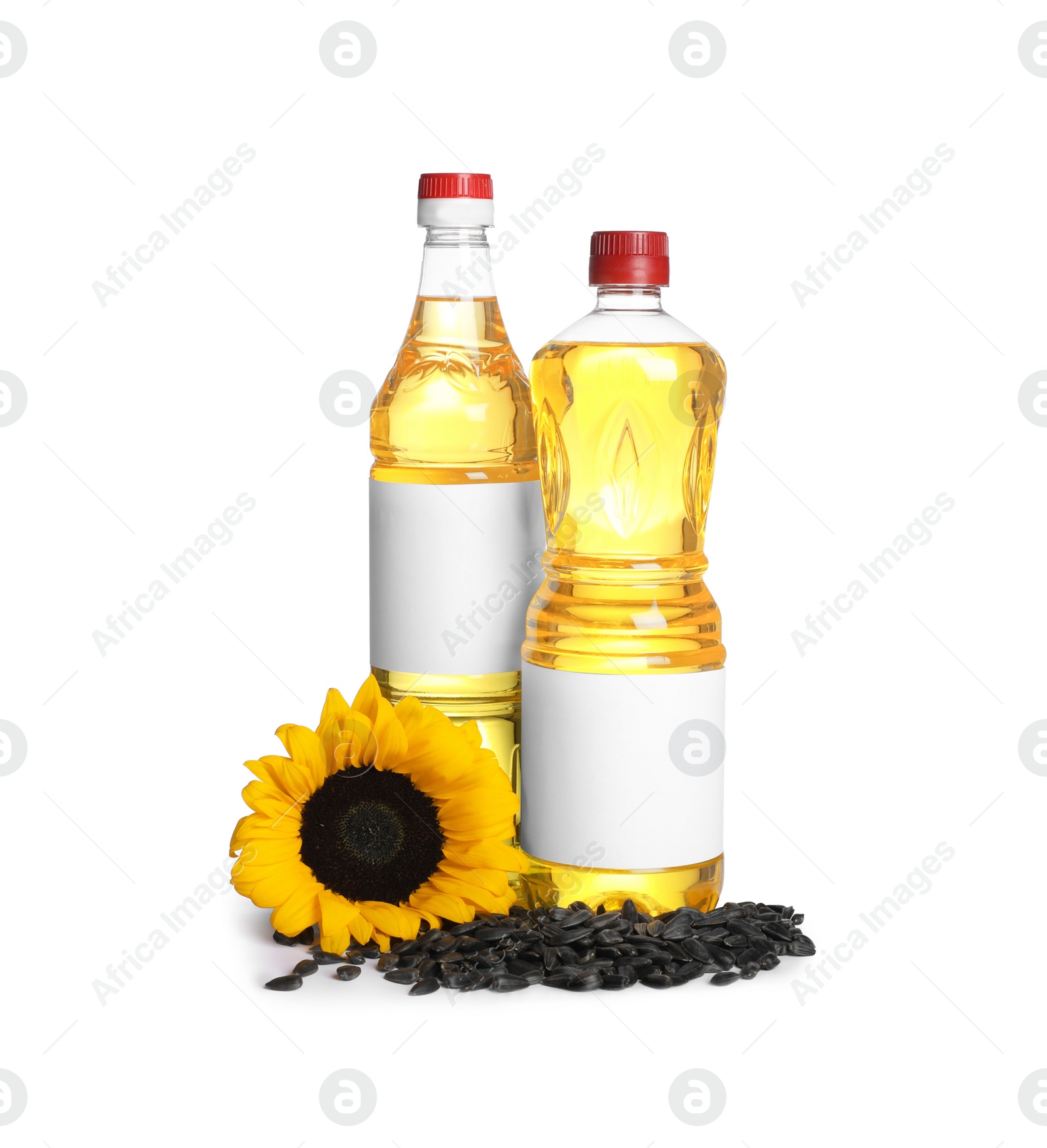 Photo of Bottles of sunflower cooking oil, seeds and yellow flower on white background