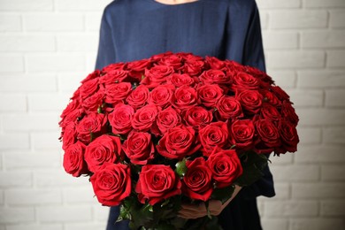 Woman holding luxury bouquet of fresh red roses near white brick wall, closeup