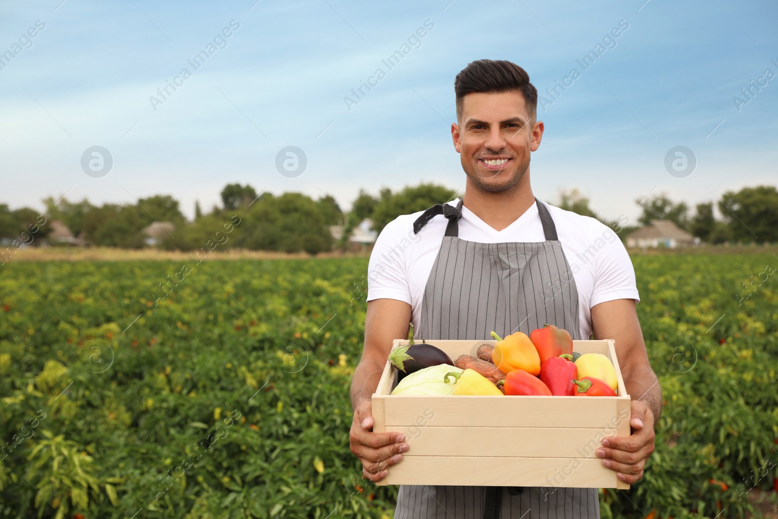 Photo of Farmer with wooden crate full of different vegetables in field. Harvesting time