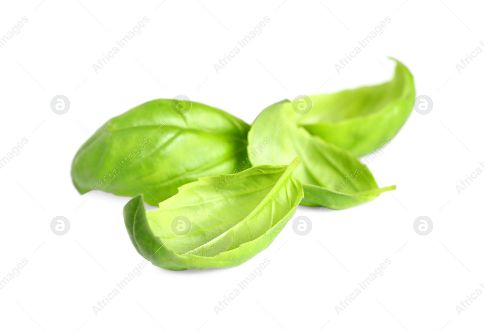 Photo of Fresh green basil leaves isolated on white