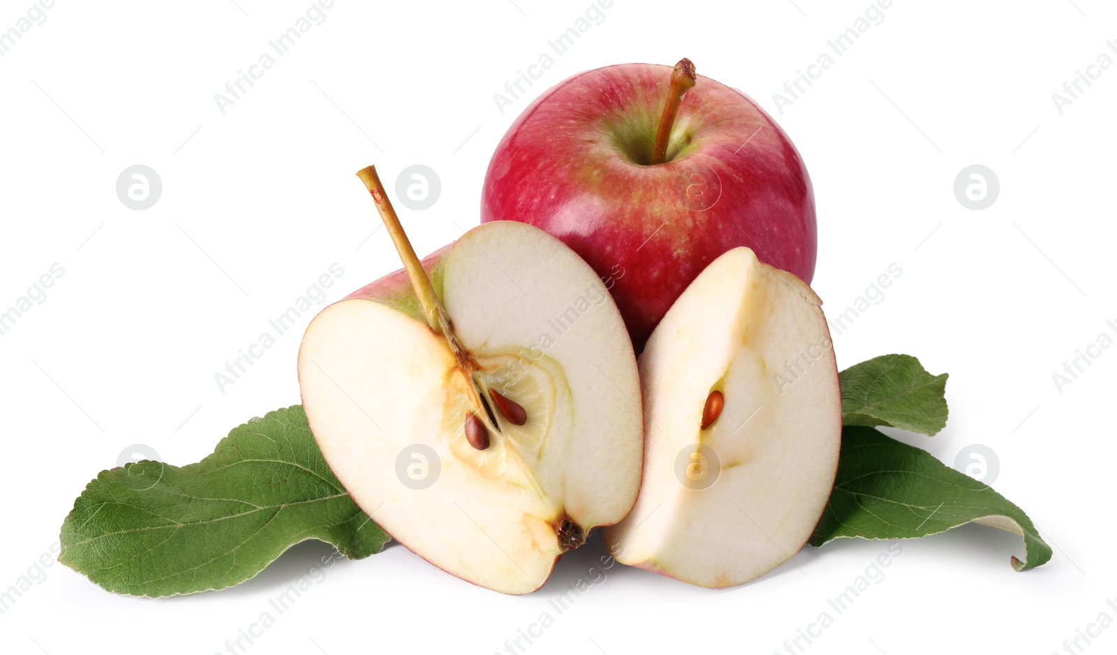 Photo of Whole, cut red apples and leaves isolated on white