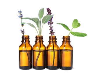 Photo of Many bottles with essential oils and plants isolated on white