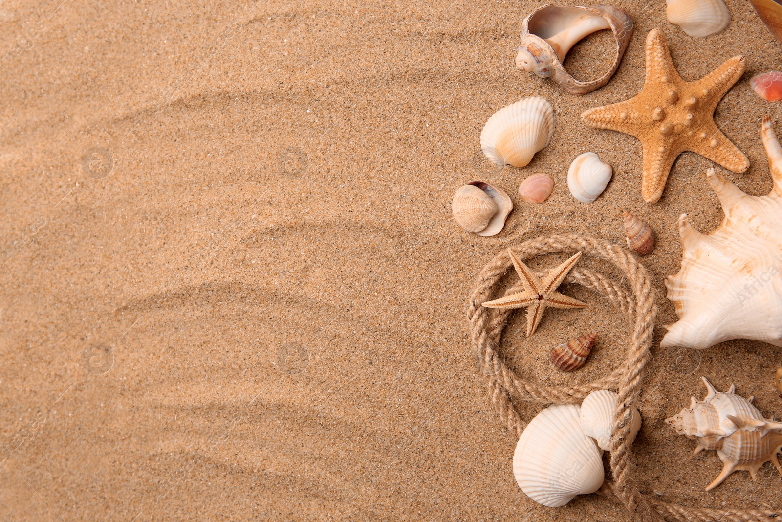 Photo of Beautiful sea stars, shells and rope on sand, flat lay. Space for text