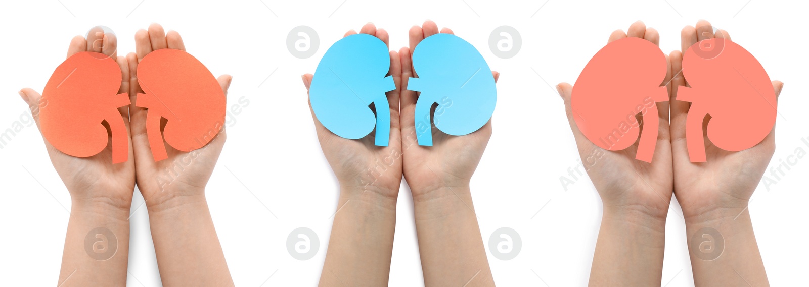 Image of Women holding paper cutouts of kidneys on white background, top view. Collage