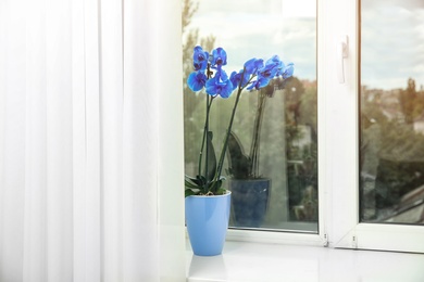 Photo of Beautiful tropical orchid flower in pot on windowsill