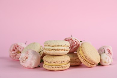 Photo of Delicious macarons and roses on pink background, space for text