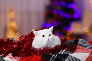 Photo of Christmas atmosphere. Cute cat with tinsel lying on plaid indoors